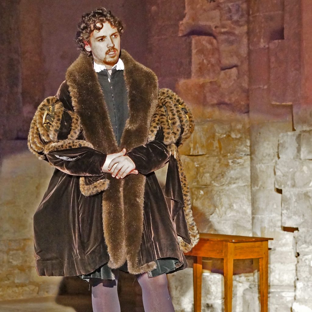 Young man in rich Tudor costume